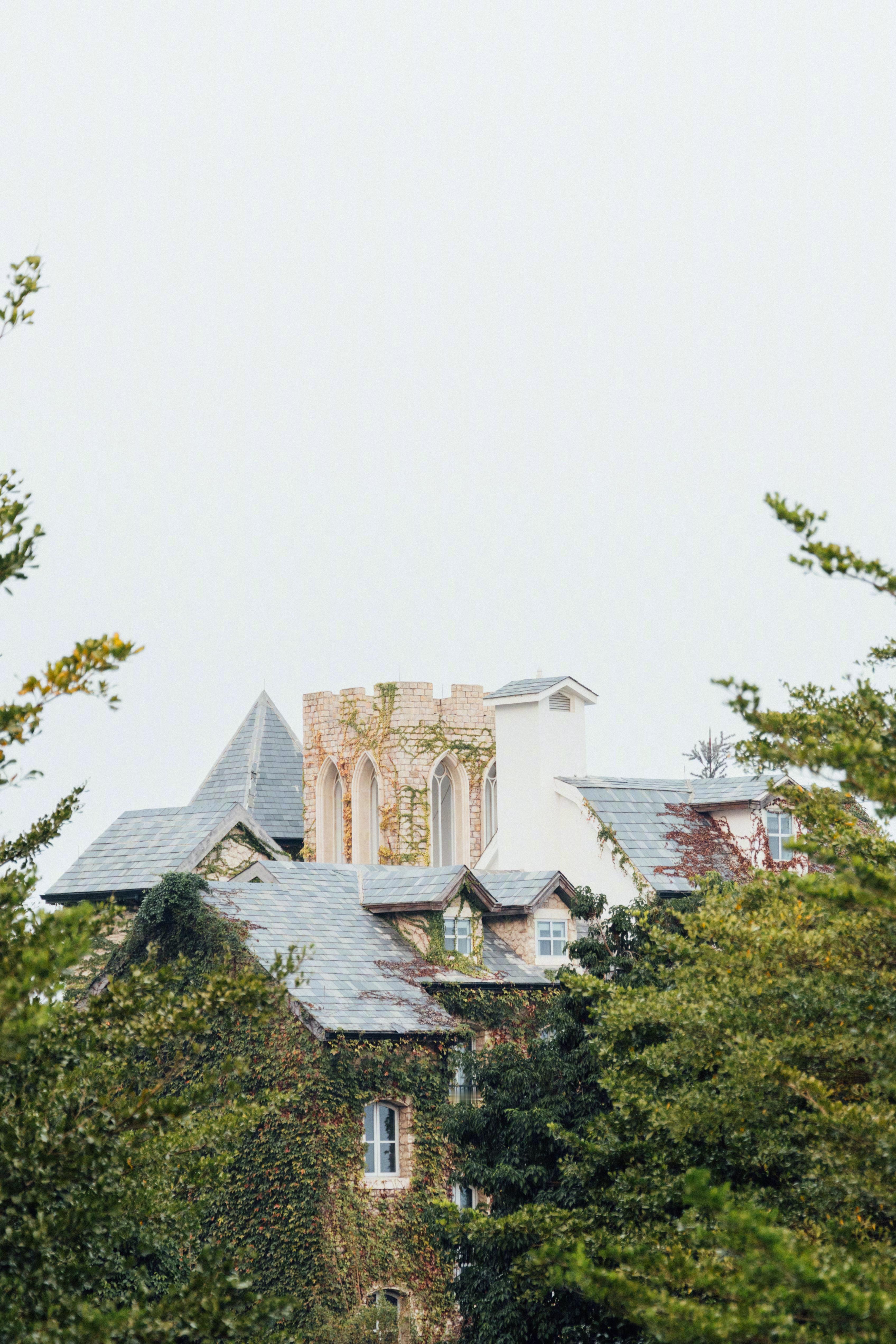 冬天很冷，但仍可以被厦门的海风治愈 网络全媒体厦门行2025年网络全媒体厦门行大