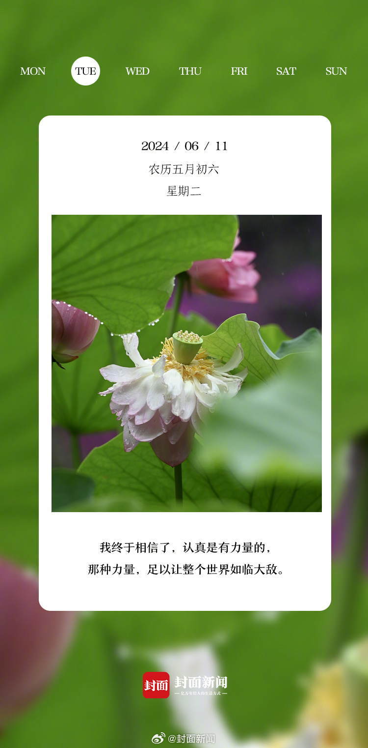 #小封日历# 早安，假期结束的第一天，你今天状态如何？​ ​​​