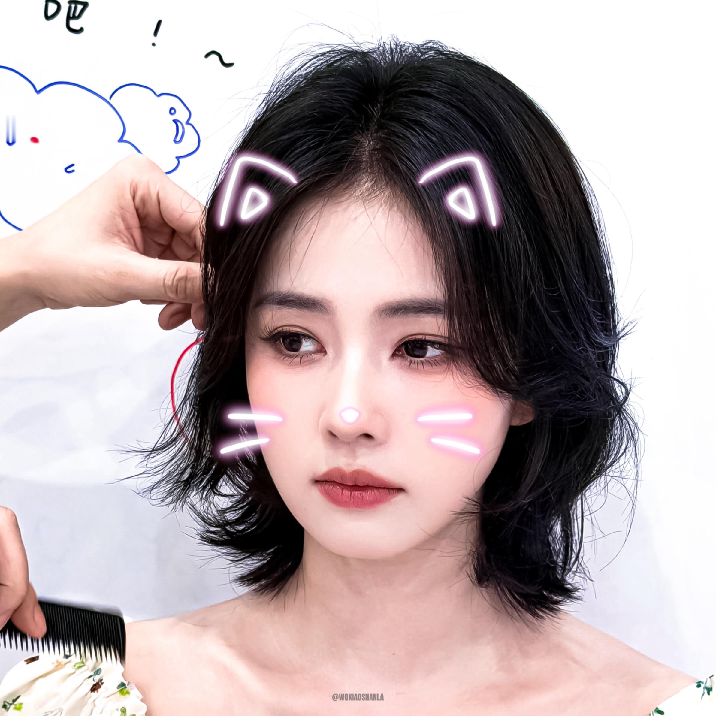 这个小猫我带走了🫧😽白鹿