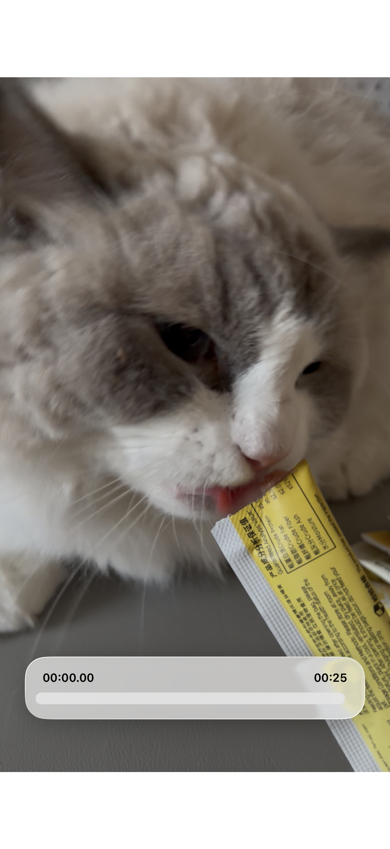 我都不敢说我家猫叫啥名字 
