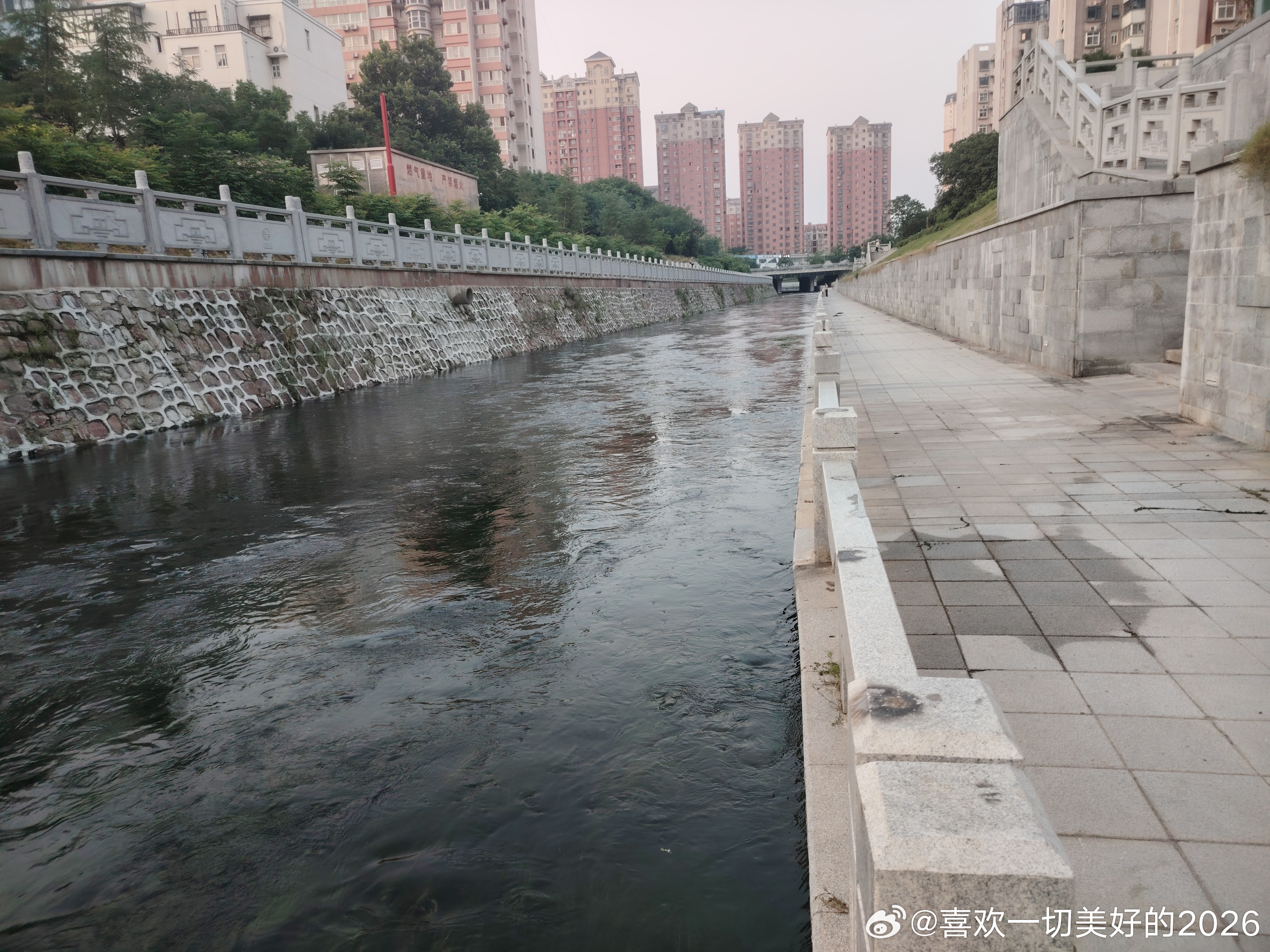 很久没有见过清晨的第一缕阳光了早上五点起来跑步跑河八公里 