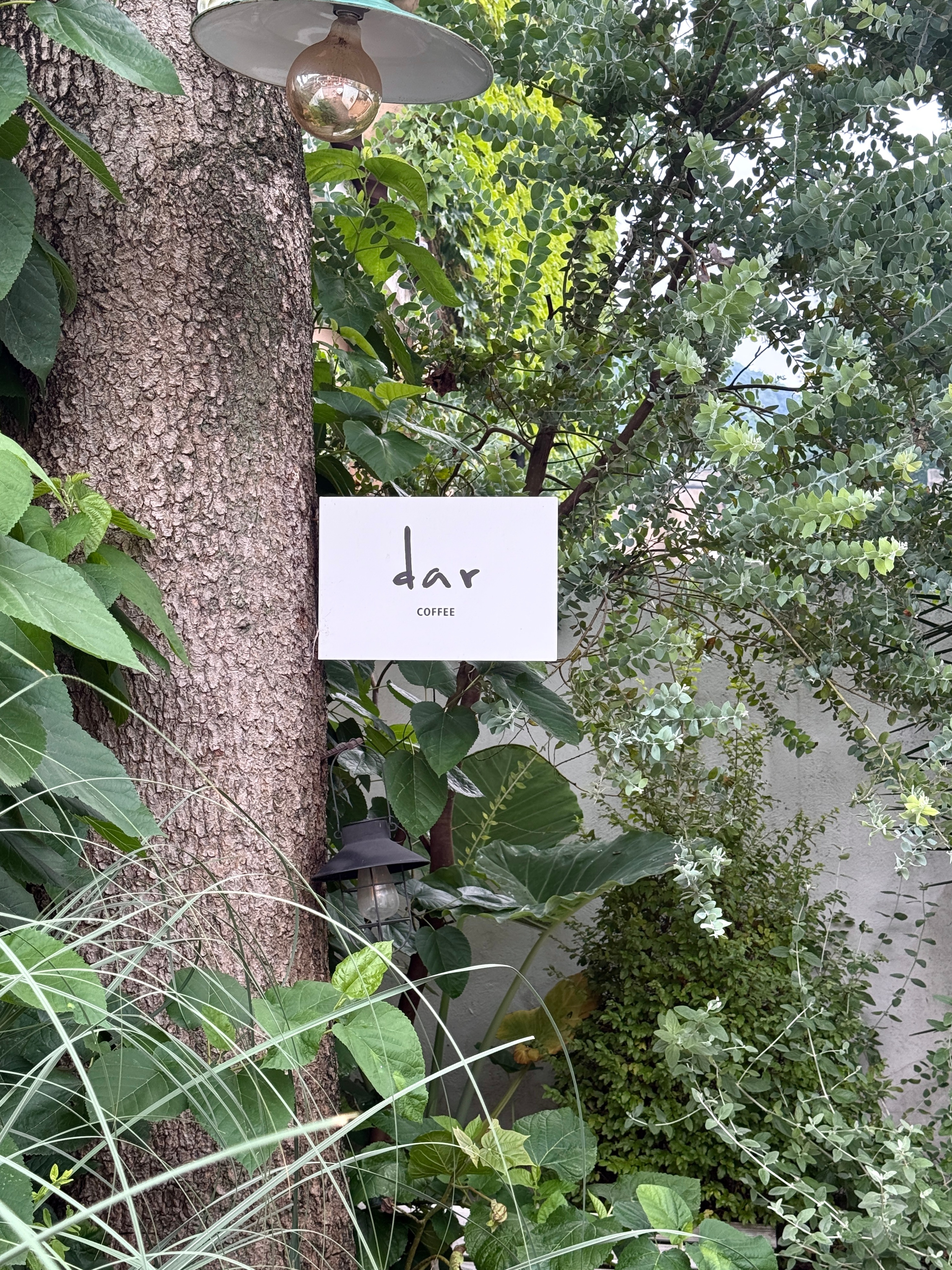 喜欢在山里 