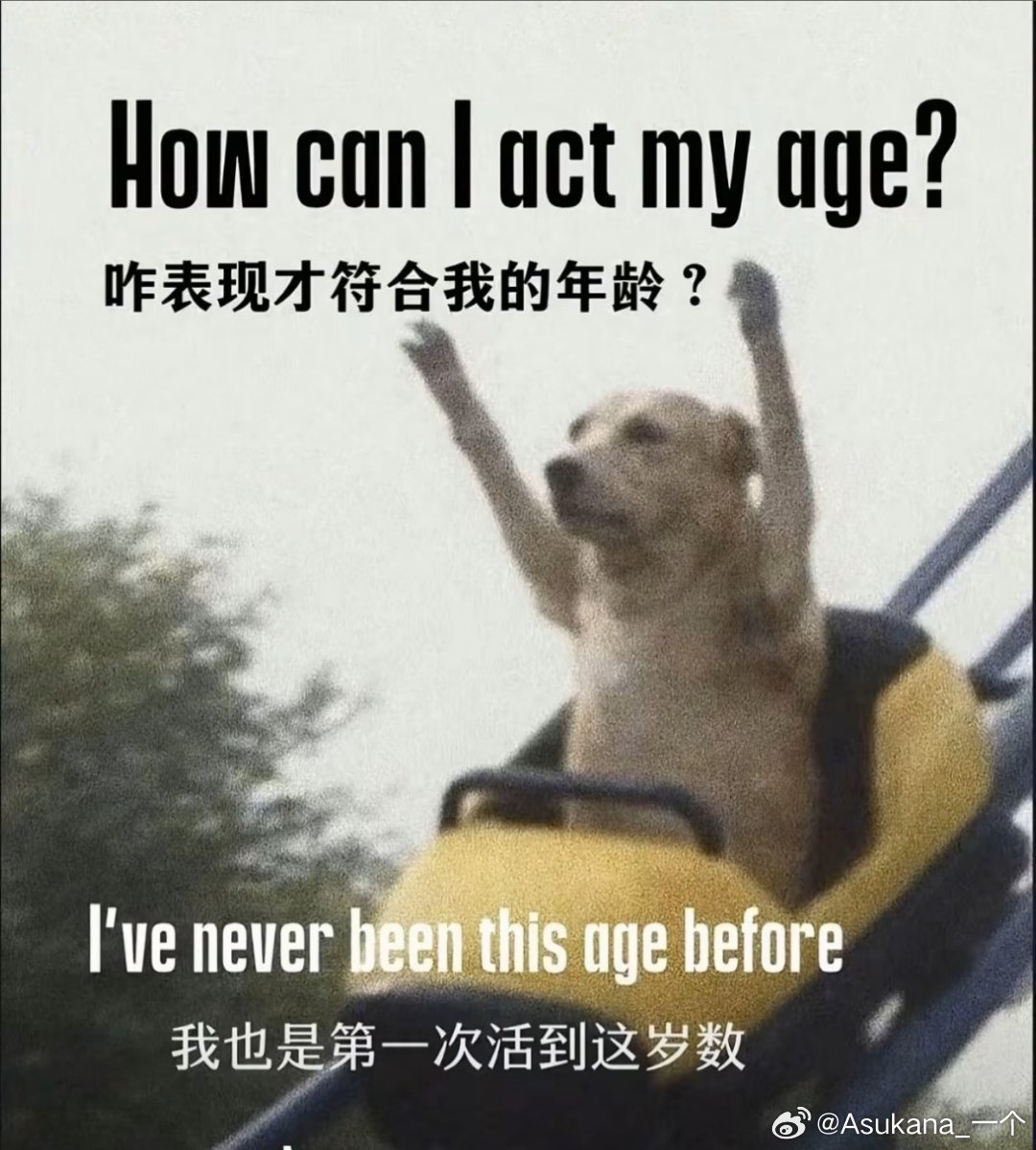 你活成了他不敢活的样子，也就冒犯了他将就的一生。