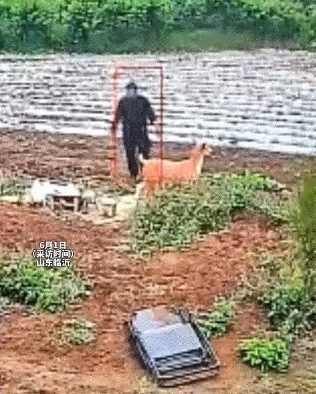 “破防了！”一把旧椅子牵动一段孝心，临沂女子安放父亲遗物在墓地，椅子倾倒却无人肯