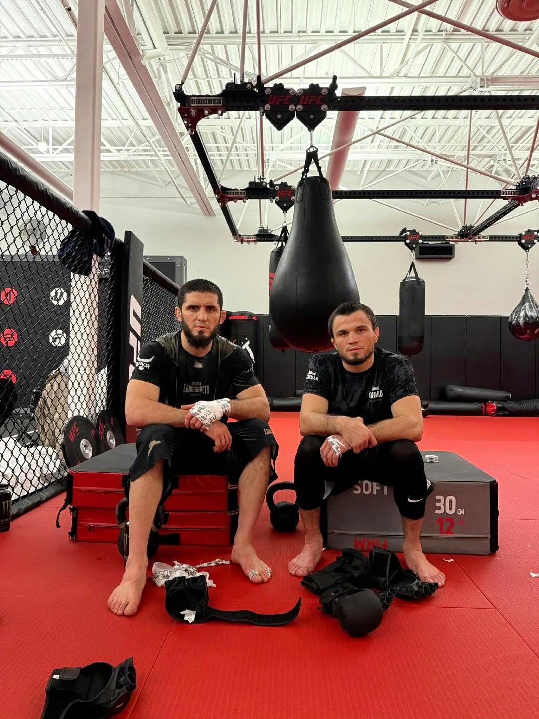 UFC311会是怎么样的结果?