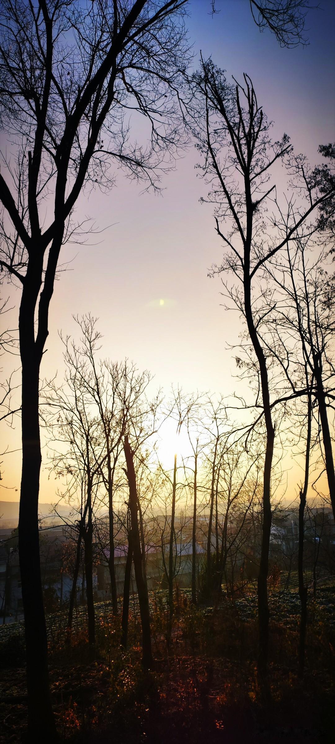 冬日生活打卡季跟老爸出门散步，清晨的村庄静谧而美好。晨曦透过冬日的薄雾，似是一个