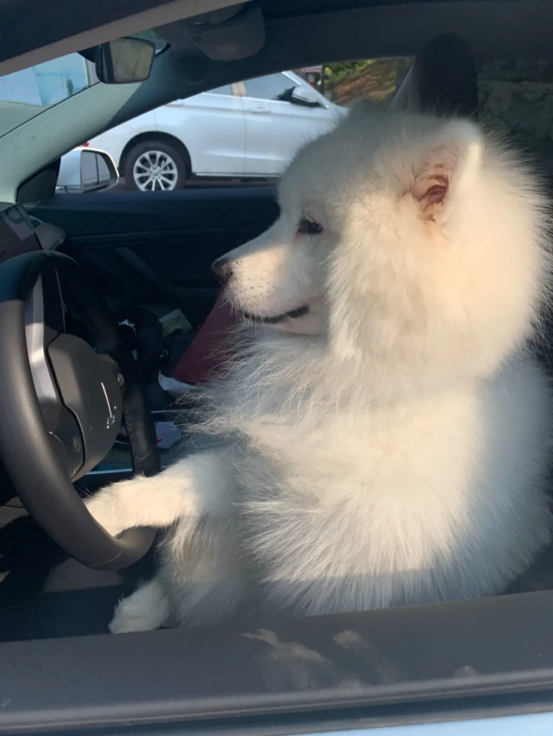 耶耶长途旅行精力旺盛的秘诀找到了