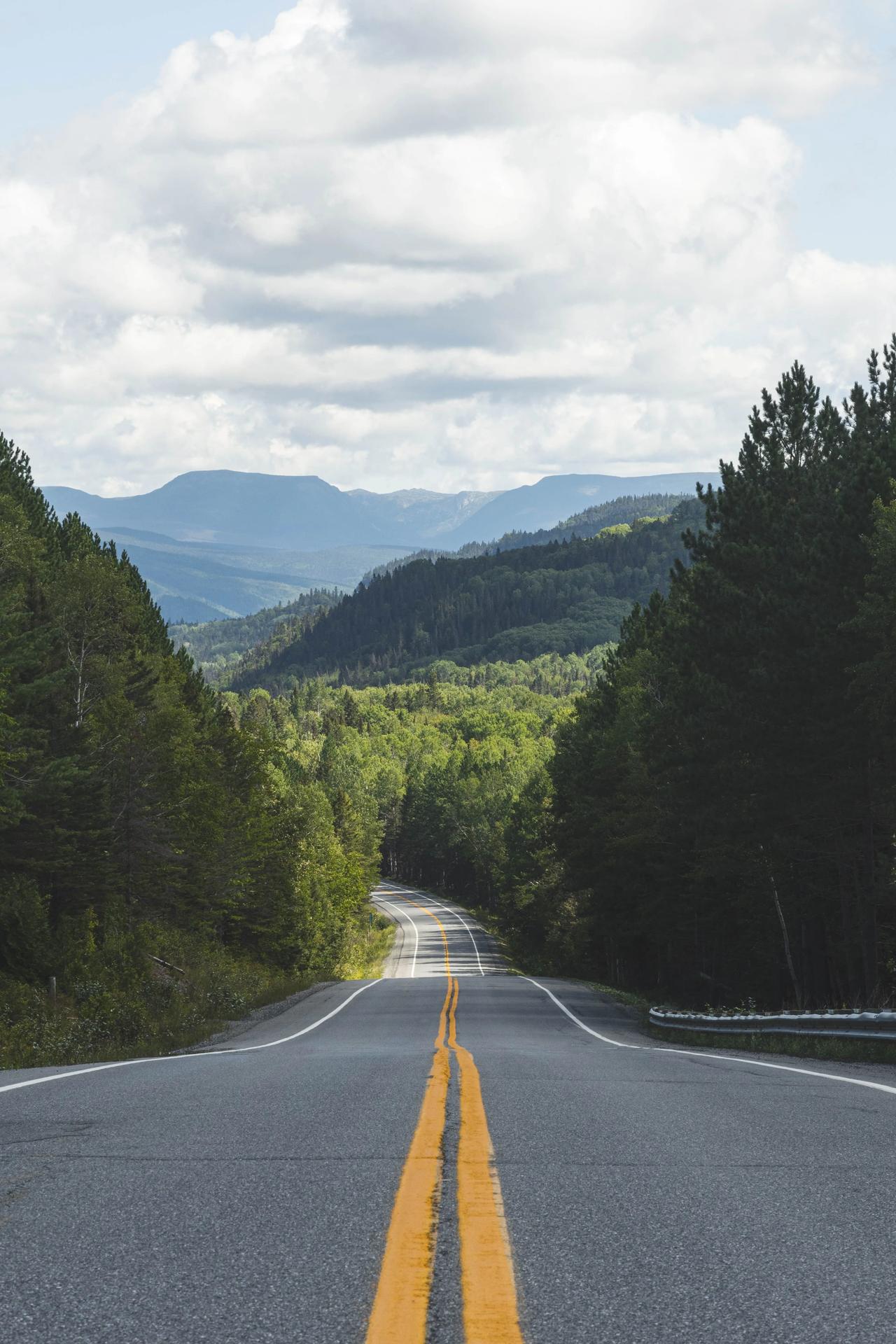 天地无言有大美，天地虽然不说话，但是各种生命，各种事物都井然有序的循环。那么人也