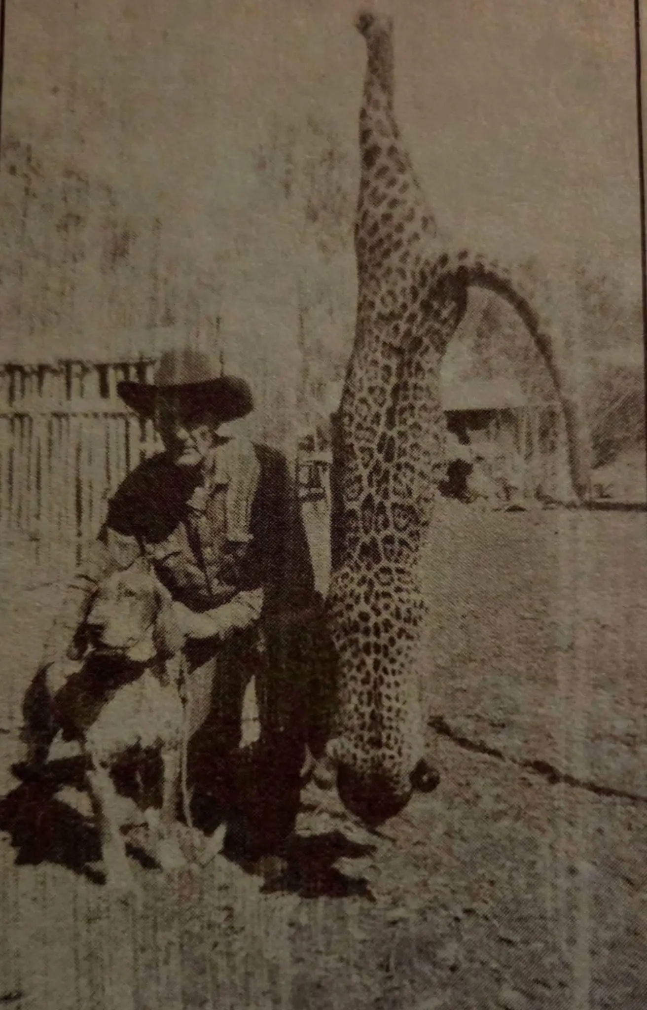 1963年Dale Lee 和他的猎犬。