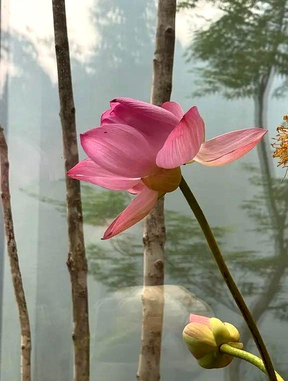 姐你真糊涂啊，四十三了还给二十多的小男友买手机护肤品花了好几万？
结果人家现在不