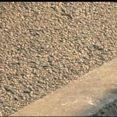 每日一善阳光信用 每日一善 相信尘埃里会开出一朵花，因为曾有漫天星光，亮透胸膛。