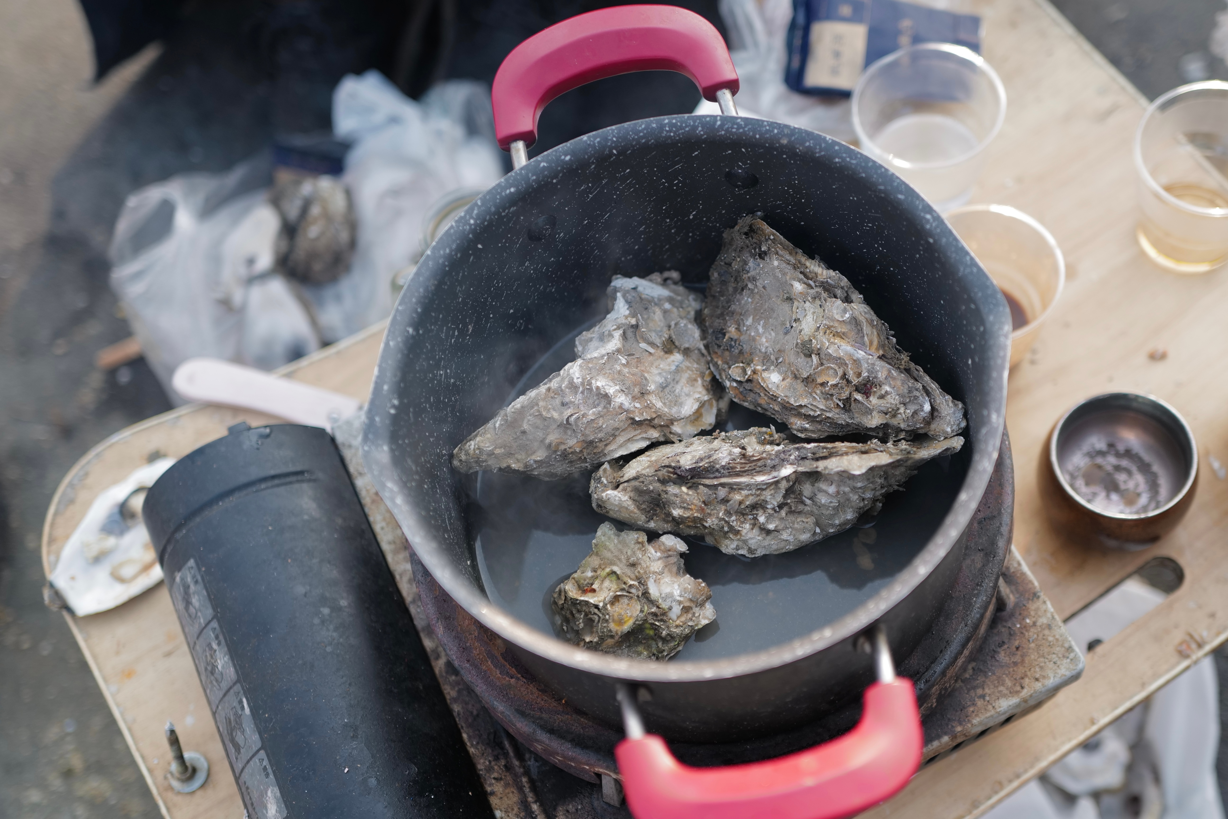 沿着海堤走，先是看见帆一样透着光的干鱼，跑去瞧，干鱼后面两个裹着大棉袄的渔民支着