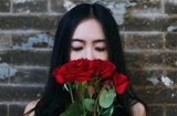 山叶聚聚科技