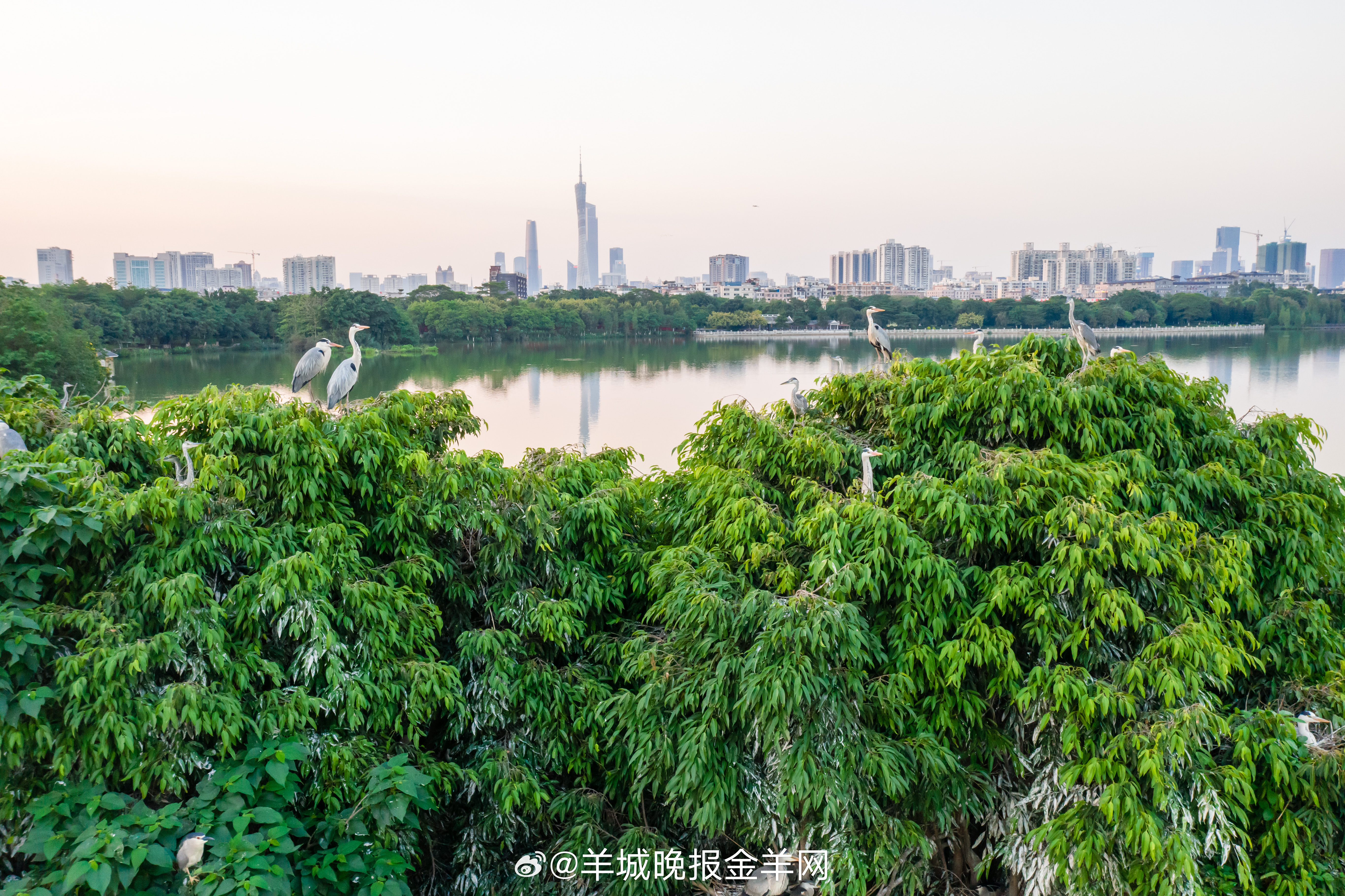 #早安#珍惜时间最好的方式，是用时间成就更好的自己。你认真对待生活，生活也会赠你