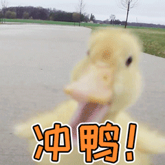 冲鸭！加油加油！奥利给！ 