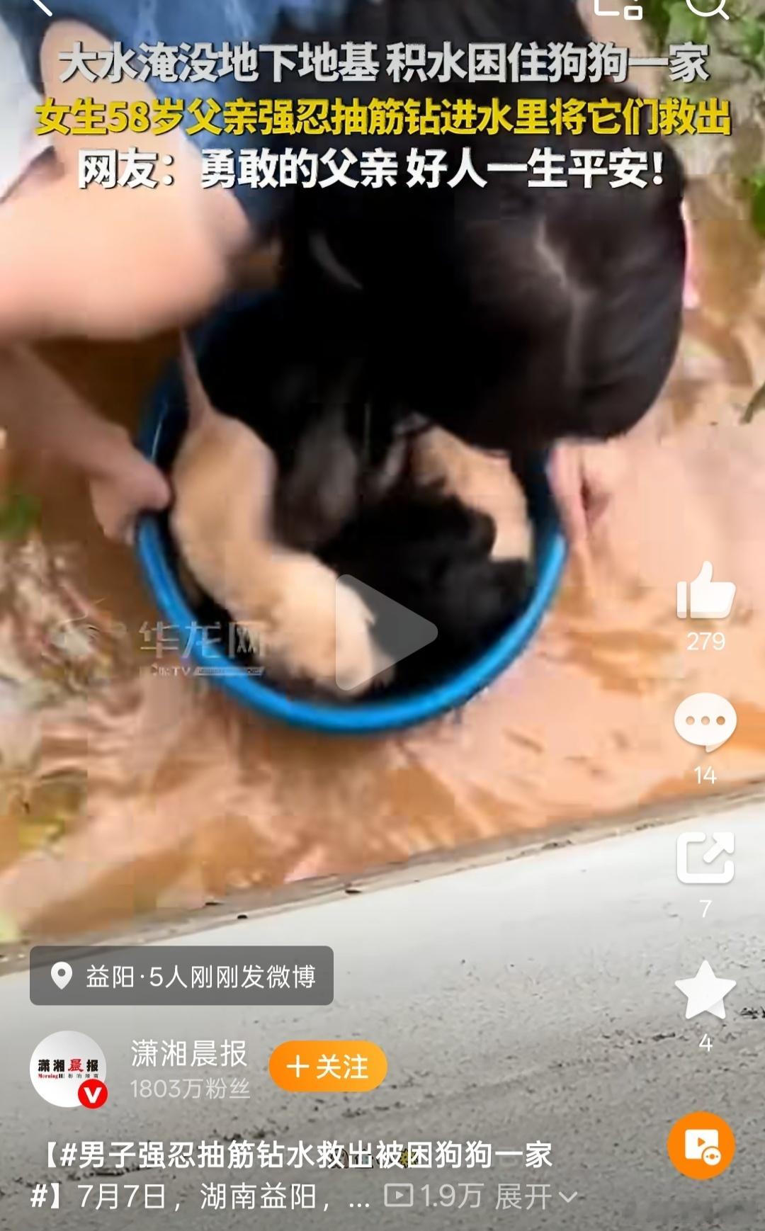 投胎分很多种，有的投胎成动物，有的投胎成人，能够救助动物一家，容易得意外的偏财或