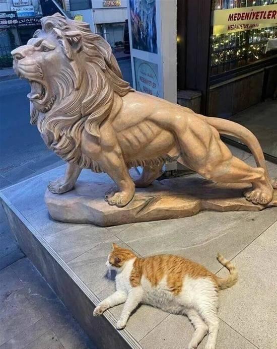 搞笑图片： ​​​