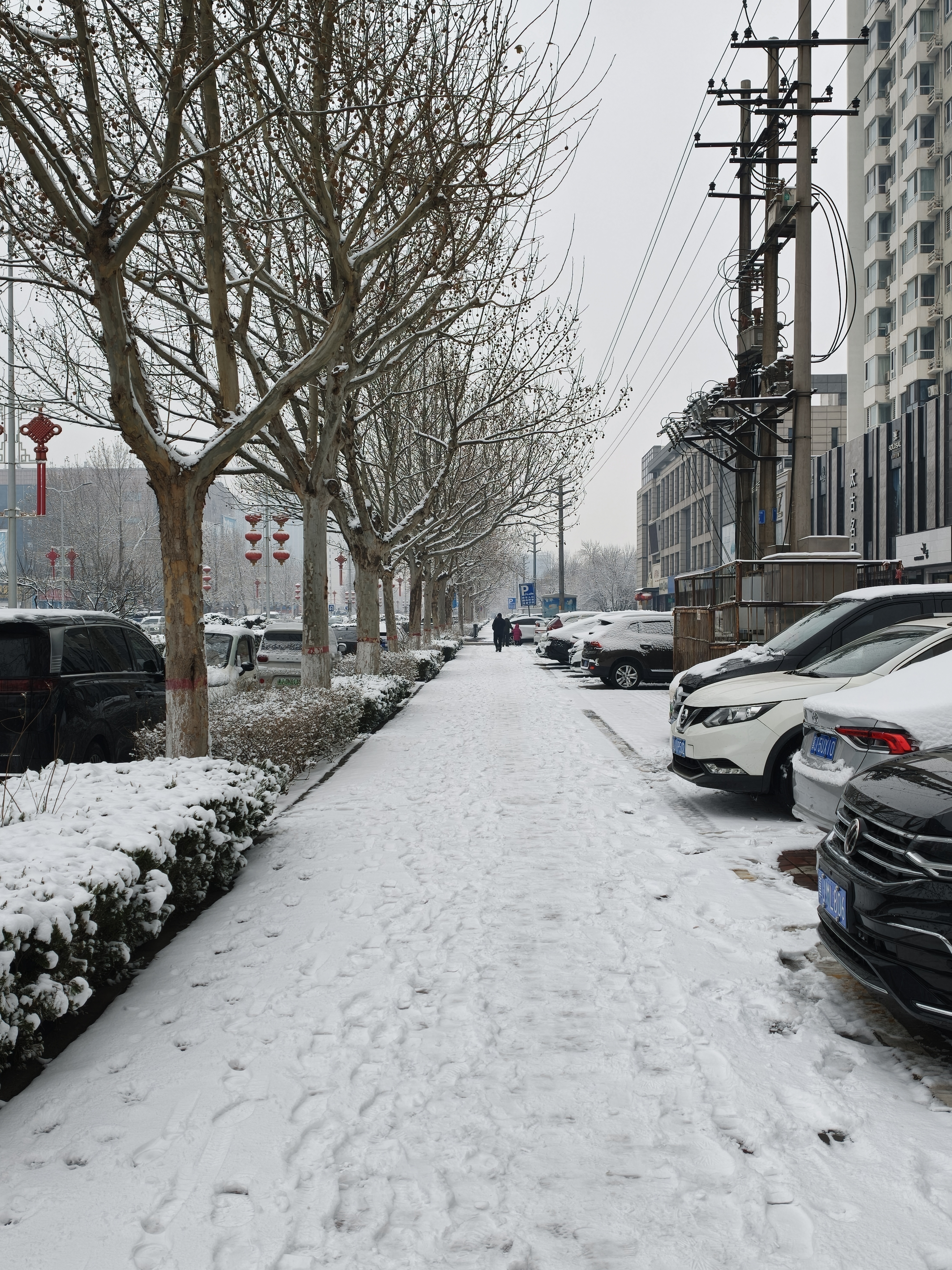 预报的小雪变中雪了这一波寒潮有力气