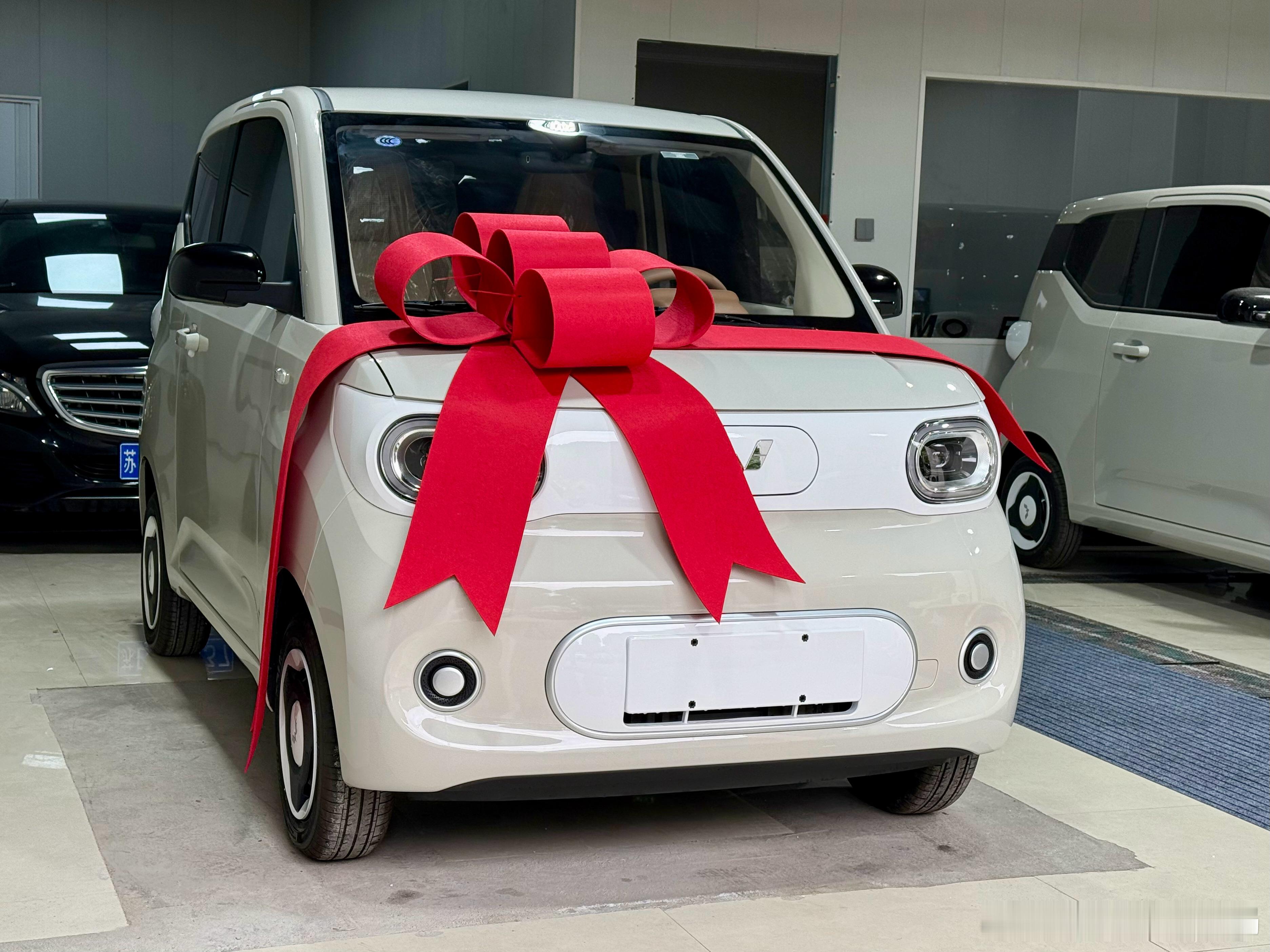 再给好姐妹儿交一台五菱mini ev…高高兴兴过年，祝用车愉快店内还有一台同款新