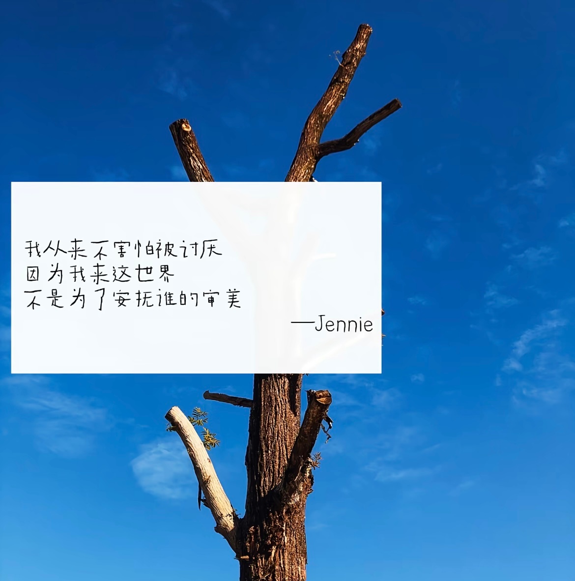 给内耗人的一句终极解药！想通就在一瞬间 