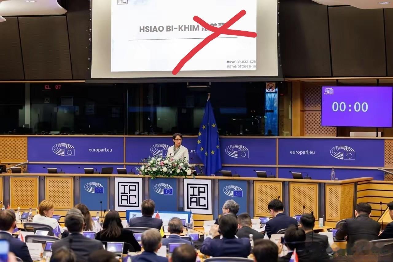 “台独”顽固分子萧美琴刚刚结束在布鲁塞尔的表演，嘴角边的唾液还没有擦干，“台独”