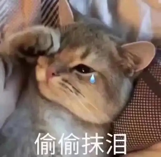 高会涨价  活得好累 