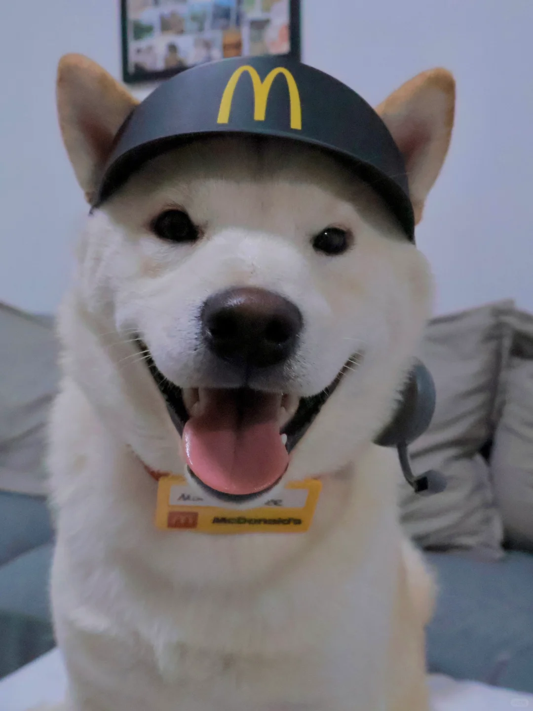 你好小姐 请问需要点什么餐？