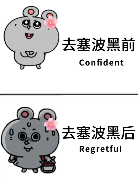 愿每一个去塞波黑的人都能刷到这篇❤