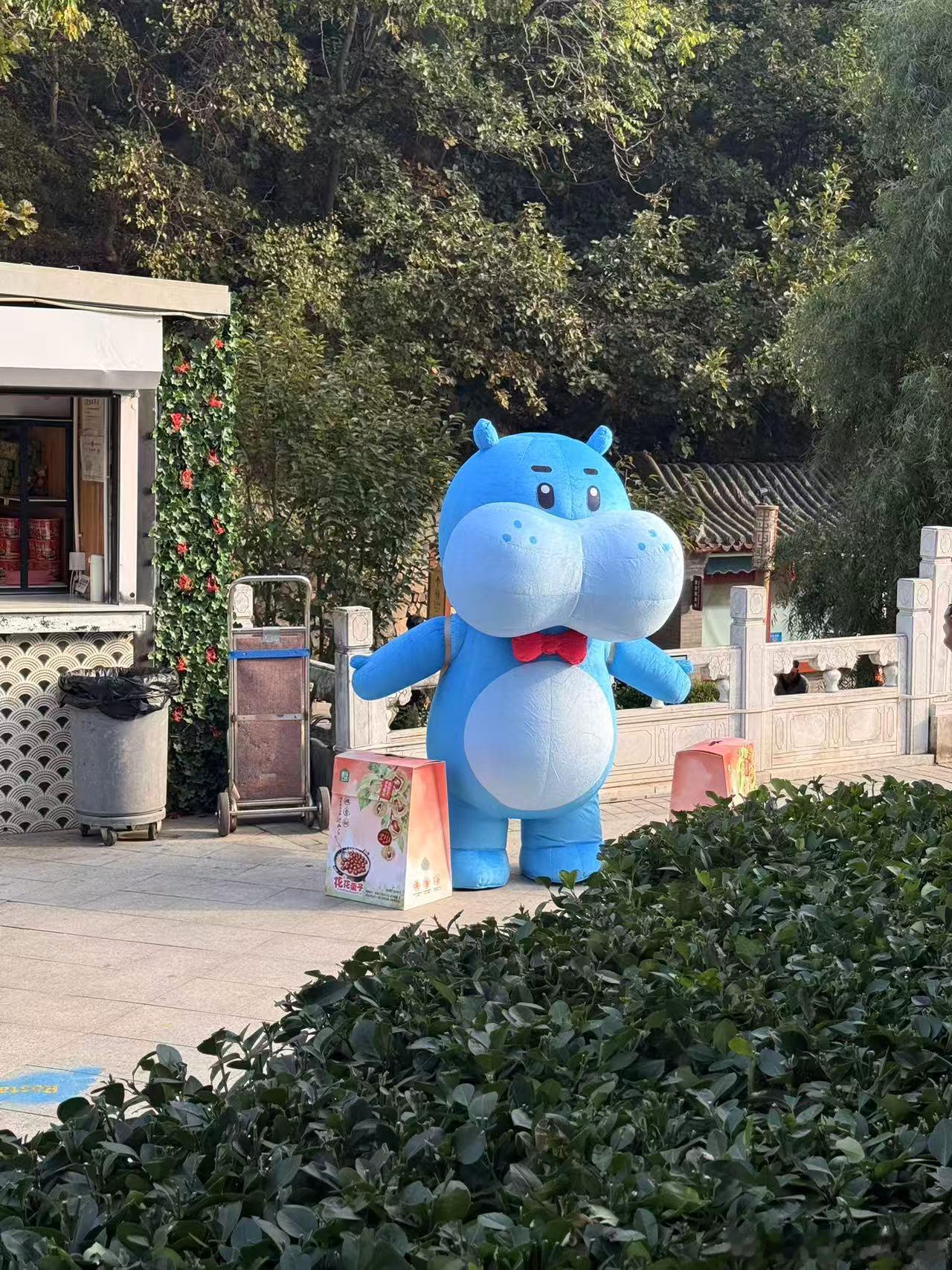 珍惜秋天第一个给你送栗子的人盒马现在出发就去盒马今天对盒马好感度+100！蹲录制