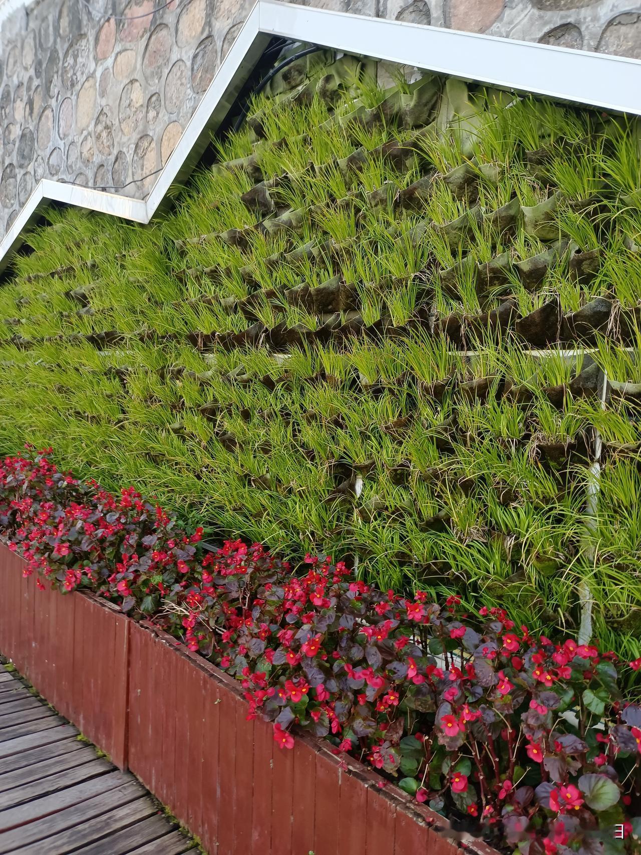 银行经理监守自盗，3000万涉案金额触目惊心
 
36岁银行理财经理王某姗的自杀