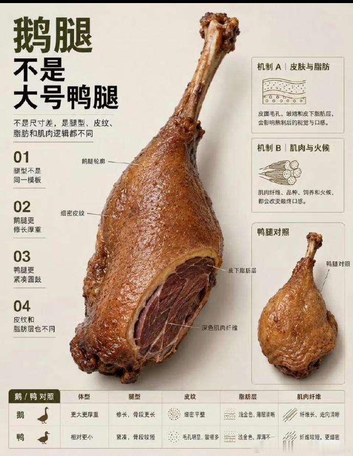 广东网友画图区分鹅鸭鸡腿 这么看越看越乱。其实只要吃过一次鹅腿就知道了，我就是因