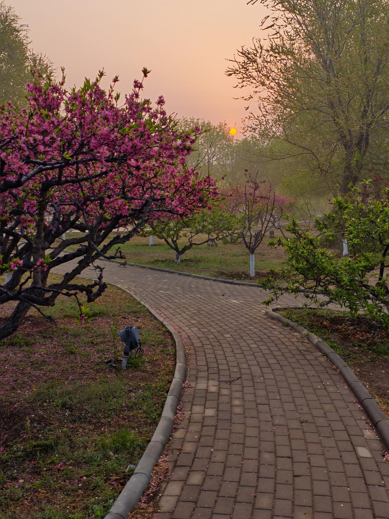 看了您拍的照片，拍得实在太出色了，我们都不好意思在头条发自己的图片了[捂脸]