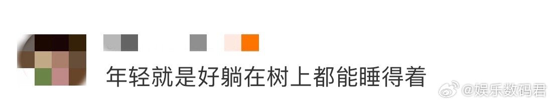 年轻就是好躺在树上都能睡得着 看他在树上睡得安稳，仿佛整个世界的喧嚣都与他无关，
