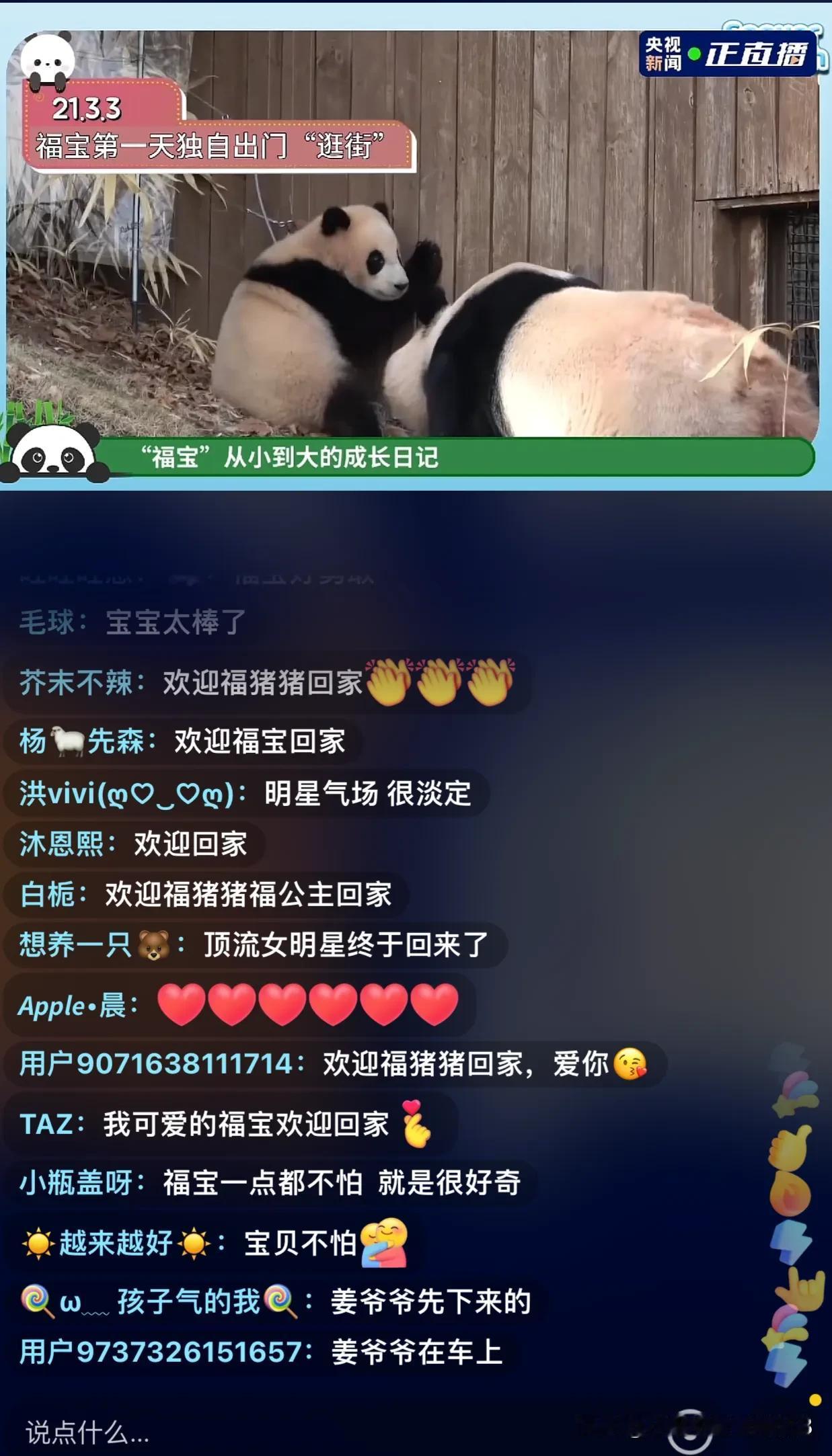 福宝已安全抵达成都一路安好
没有大家想象的应激反应，甚至有点兴奋可见机上的安抚到
