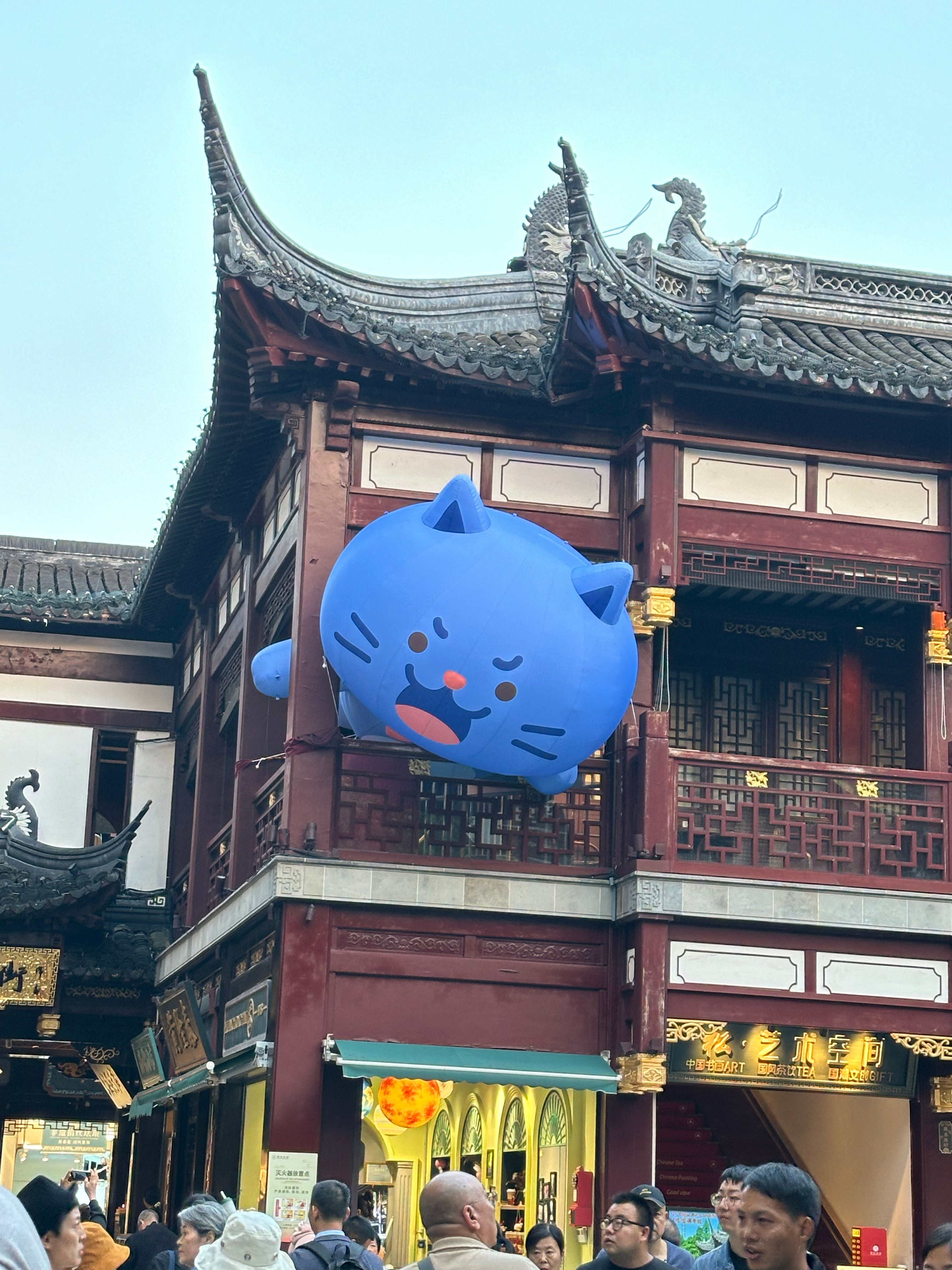 看到这胖猫真的把我笑飞 ​​​