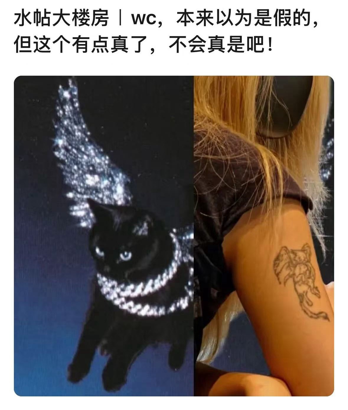 朱志鑫 宝贝天使安琪朱志鑫恋情官宣啦，大家快来献上祝福吧 