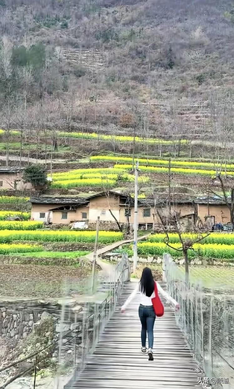 我的想法儿是离了，我就自己一个人生活。
自己生活可能遇到的困难会很多，因为我没有