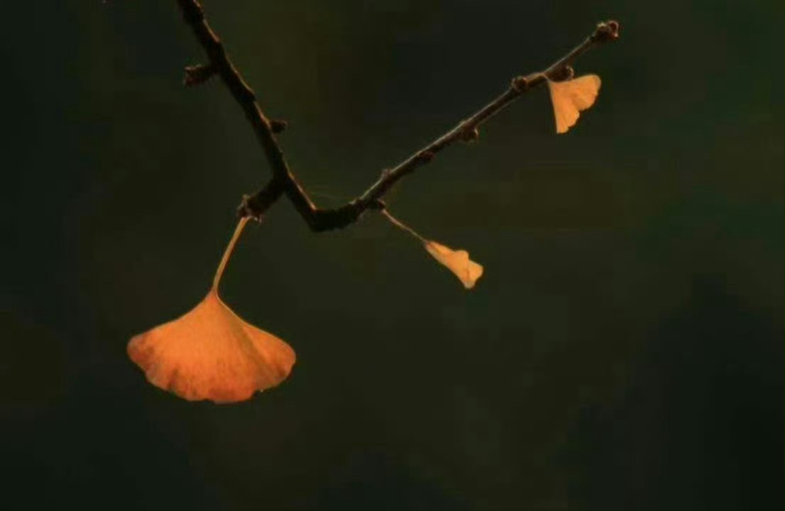 秋 