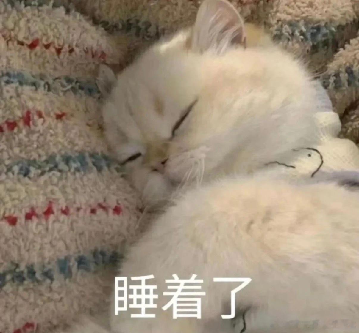 大家晚安 