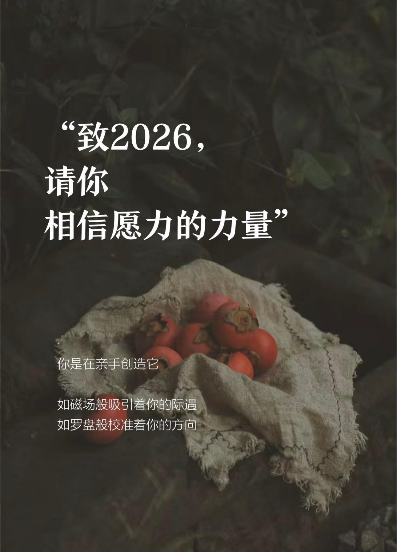 2026校准方向，与智能体共生，把琐事交给效率副驾，将心力留给热爱与创造，在不确