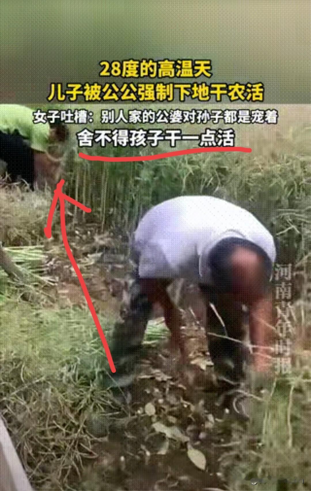 5月10日，湖北。一个儿媳抱怨公公，28度的高温天气，公公强制她的儿子下地干农活