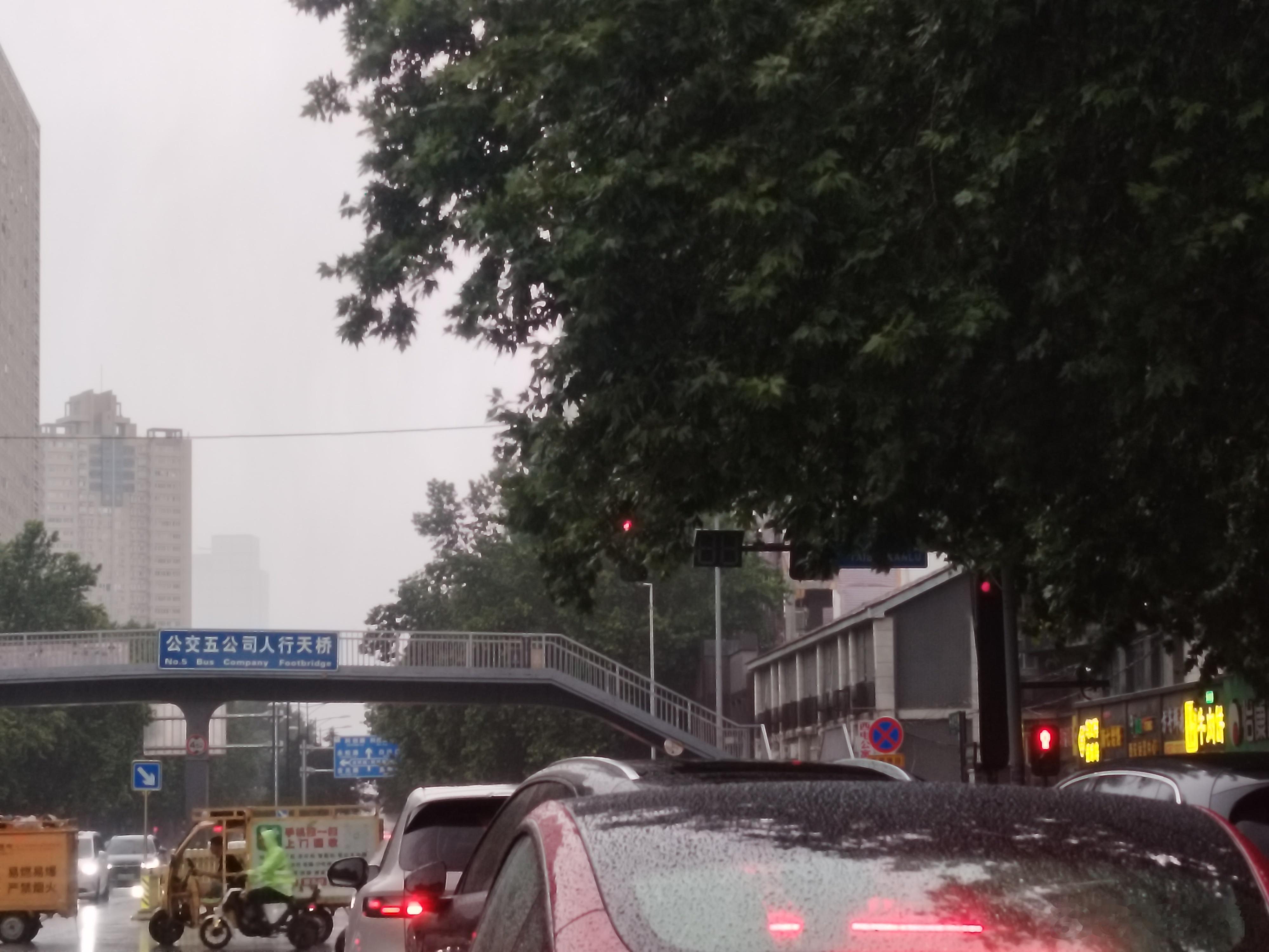 西安爆料 太白南路向南，光华路口，树枝树叶挡住红绿灯了，大耳将军单车行 呼吁麻烦