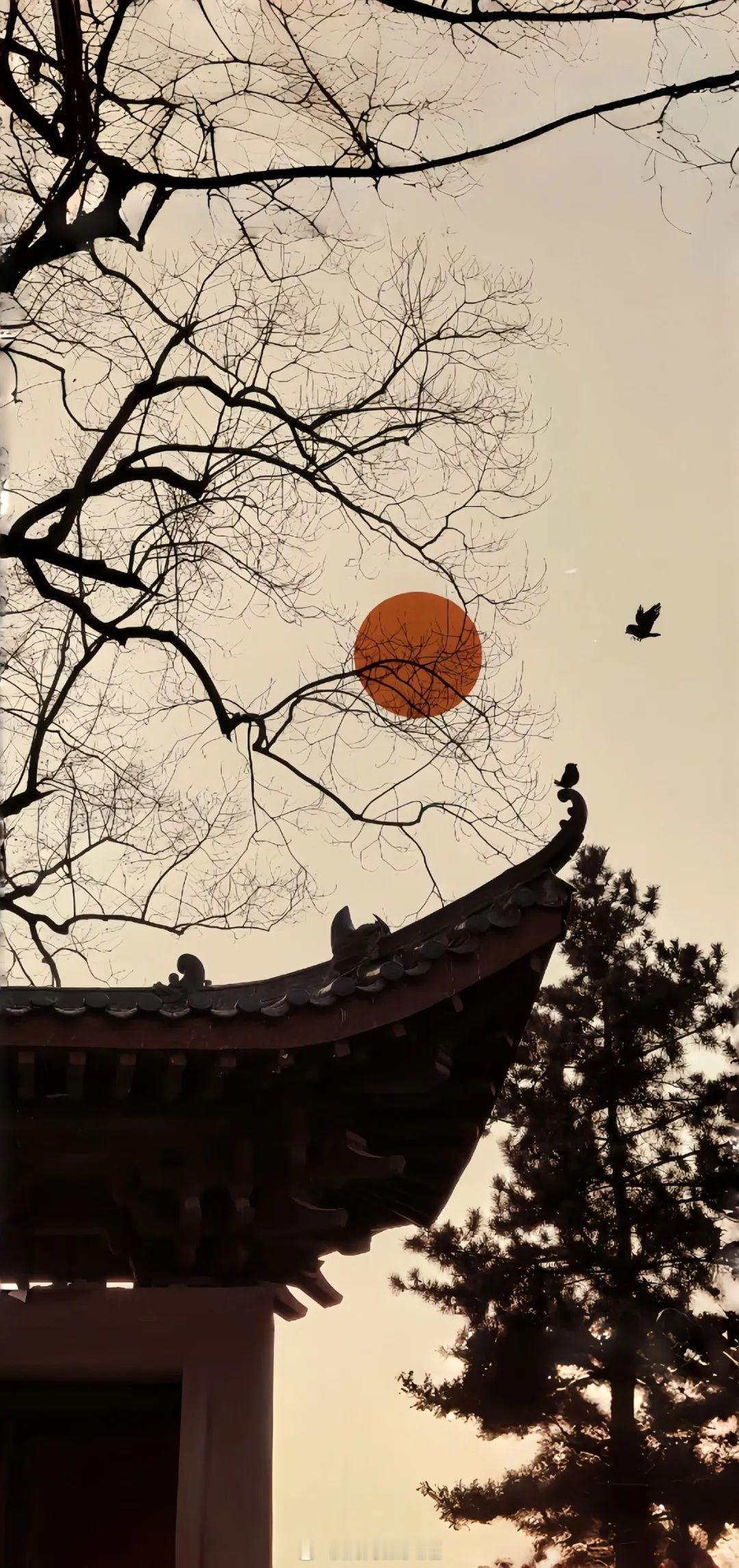 方才我趴在石桌上闭眼思索睁，眼时见到了我所想之人，事情便想透了，困顿也就全成了欢