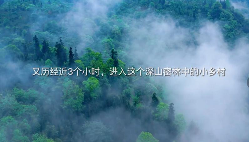 重磅！中国迈向共同富裕，9亿农民一个都不能掉队，搭建“数字致富路”成关键！

现