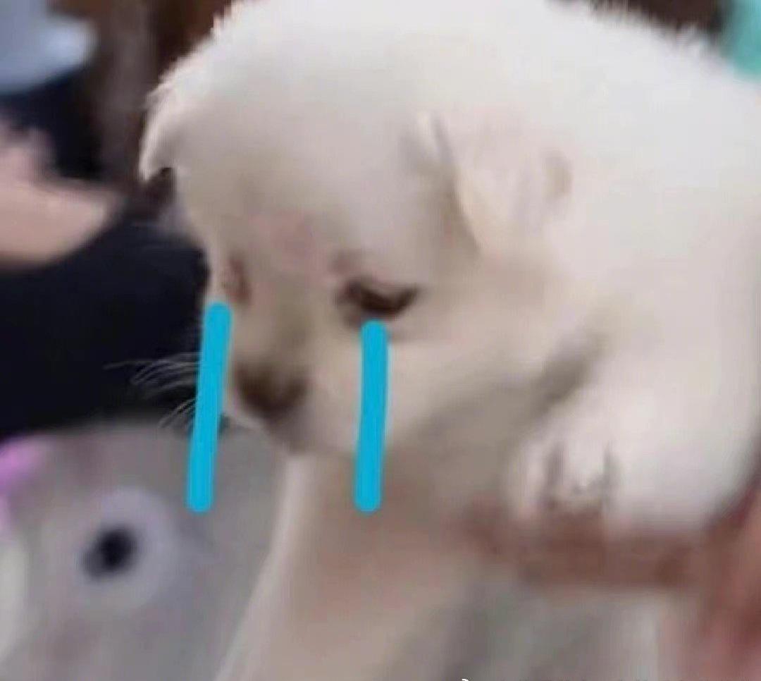 小寒已至多地竟还在高温模式我们这边每天都要穿大羽绒服，大棉袄，要不然真的感觉扛不