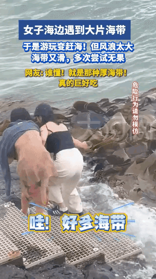 “解释不清了！”广西俩女孩去海边玩，没想到海里突然飘来一大群海带靠在岸边，可把她