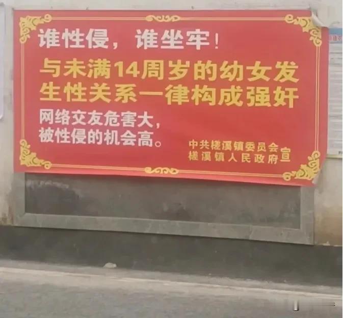 “与未满14岁的幼女发生性关系，一律构成强奸”、“网络交友危害大，被性侵的机会高