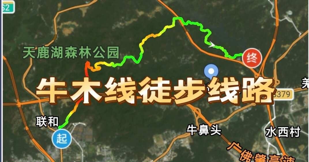 广州徒步｜11.75km必刷入门徒步线路✨
谁懂啊！广州新手徒步必刷的牛木内线真