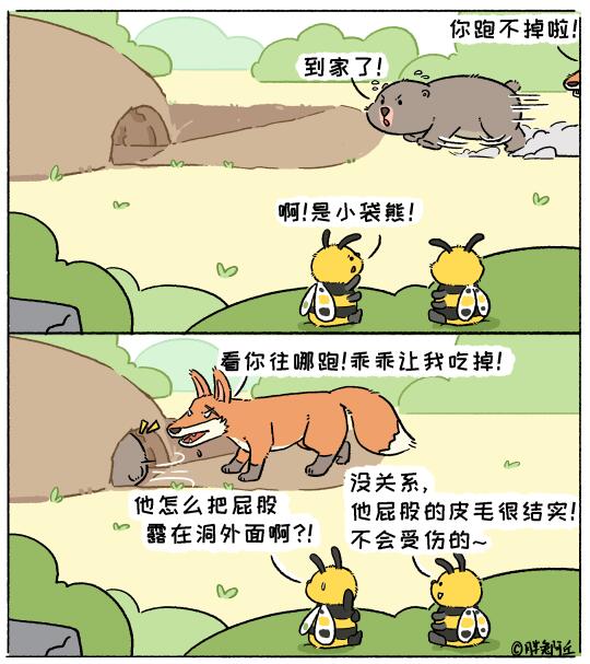 我是袋熊