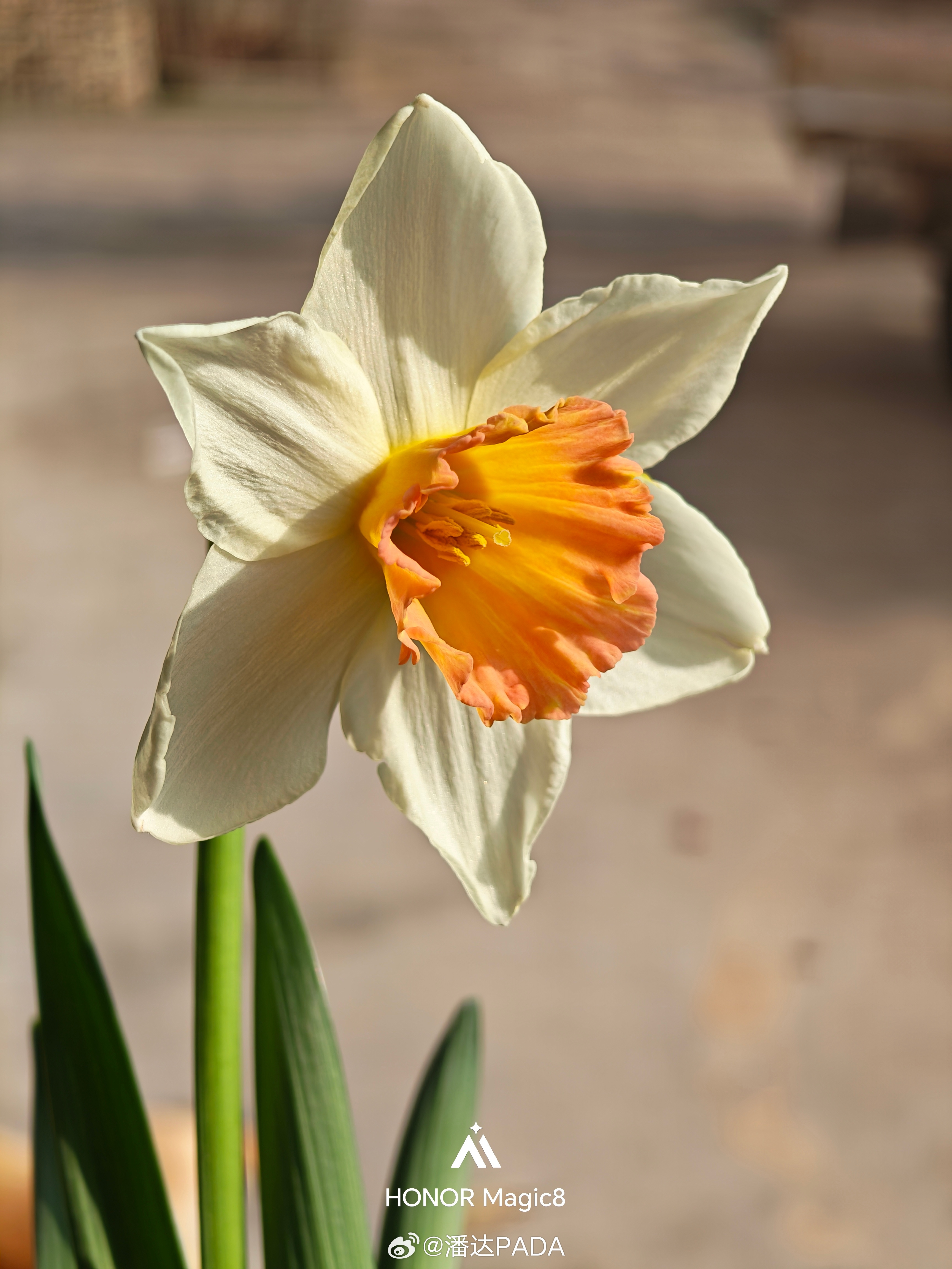 那么寒冬后，炎夏前谁会给你春一样的爱恋日落后，最美的时光已经溜走～ 